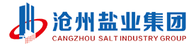 吳橋壓縮機(jī)有限責(zé)任公司
